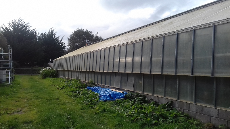 011.jpg