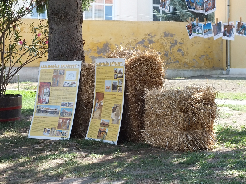 DSCF9646.JPG