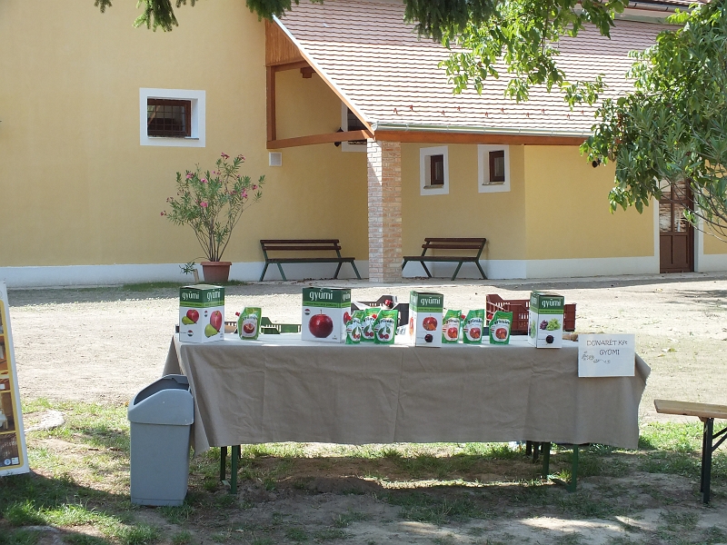 DSCF9648.JPG