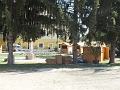 DSCF9595