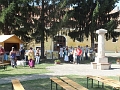 DSCF9602